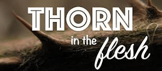 Paul’s Thorn In The&nbsp;Flesh