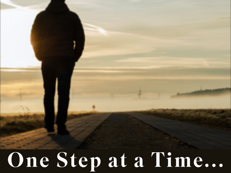 One Step at a Time…&nbsp;Again