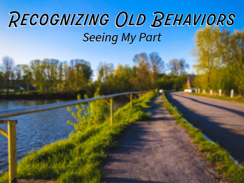Recognizing Old Behaviors