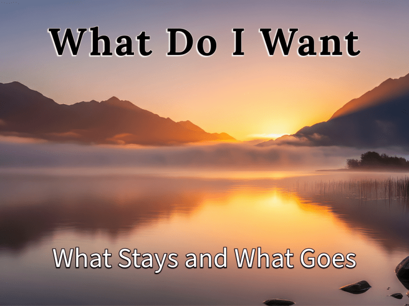 What Do I&nbsp;Want?