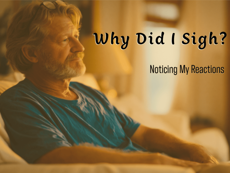 Why Did I&nbsp;Sigh?