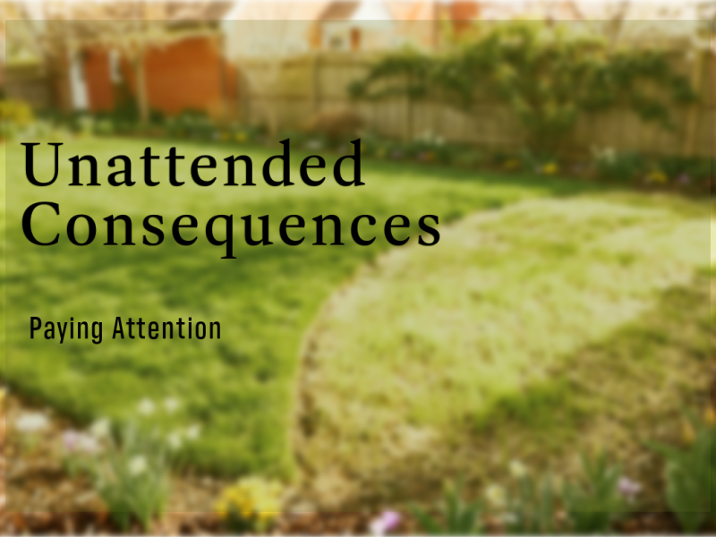 Unattended Consequences